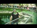 Crocodile Park, Torremolinos Spain 2016
