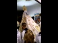 Virgen del Carmen - La Carihuela 2014 - Encierro vivido desde dentro, sobran las palabras,,,