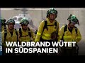 SPANIEN: 140 Feuerwehrleute im Einsatz! Waldbrand wütet im Hinterland der Costa del Sol bei Malaga